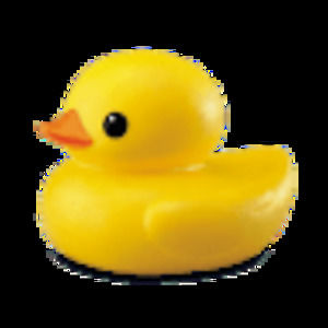 Meet your Posher, Brad